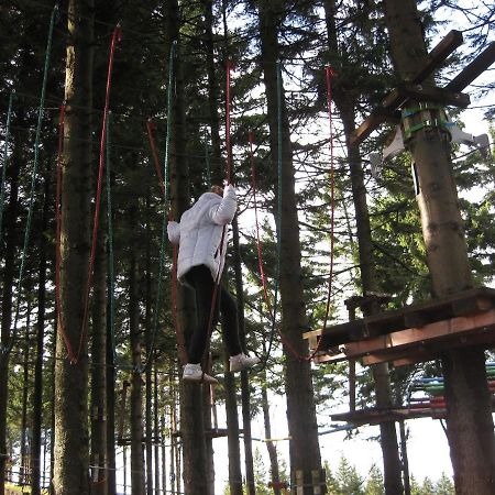 Holiday Home In Bohemia Near Ski Area And Forests 아버르타미 외부 사진